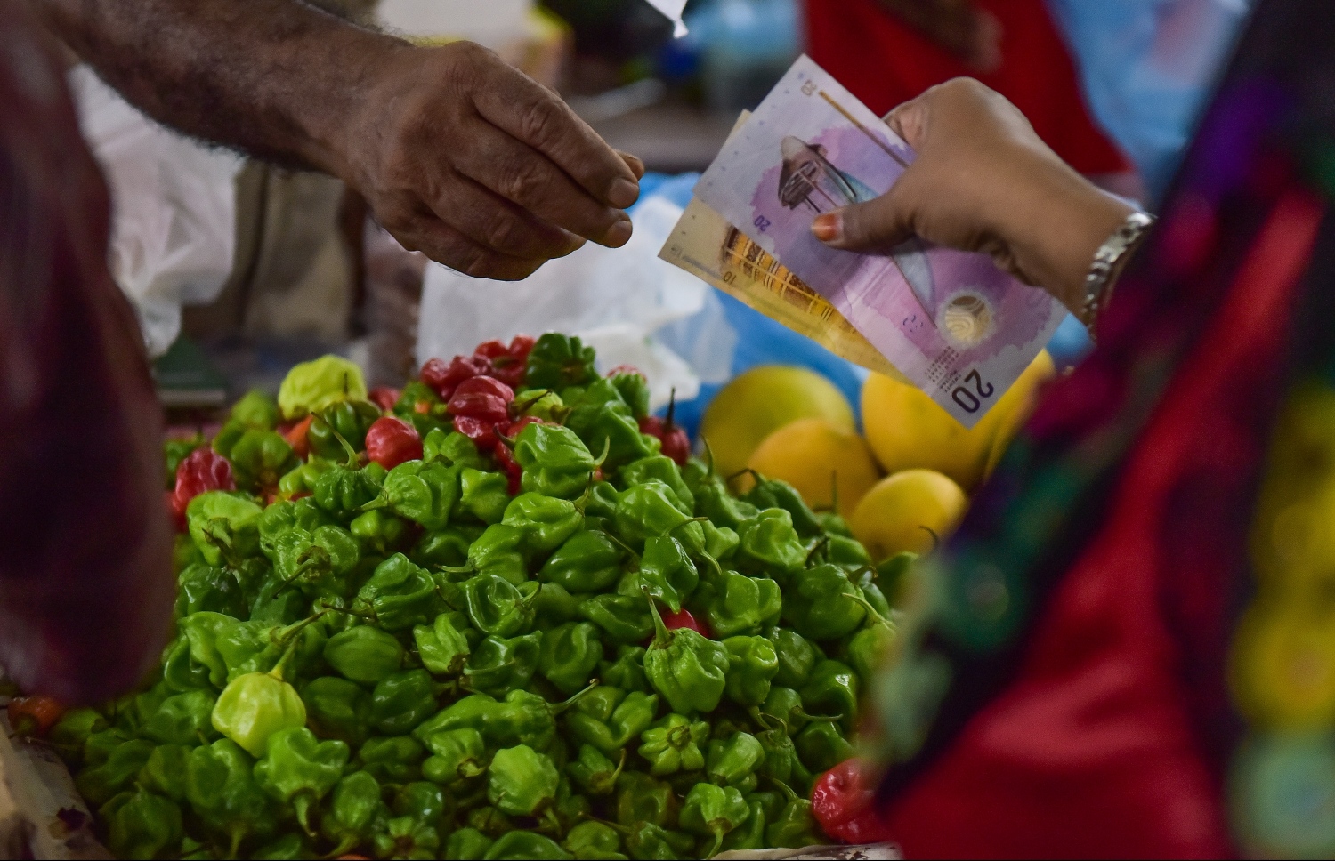 ދަތުރުވެރިންގެ މާރުކޭޓުން ތަކެތި ގަތް މީހަކު މިއަދު ފައިސާ ދައްކަނީ: މިރުހާއި ކާށީގެ އަގު ވަނީ އިންތިހާއަށް އުފުލިފައި. ފޮޓޯ: ނިޝާން އަލީ /މިހާރު