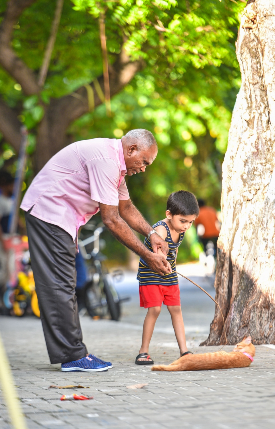 މޭ 28، 2017- ކާފަދަރިފުޅު ގޮވައިގެން ވިލިމާލޭގައި ހަވީރު ފިންޏަށް ހިނގާލަން ނުކުމެ އުޅުނު މީހަކު، މަގުމަތީގައި އޮތް ބުޅަލެއް އެ ކުއްޖާ އަށް ދައްކަނީ.---މިހާރު ފޮޓޯ: ހުސެއިން ވަހީދު