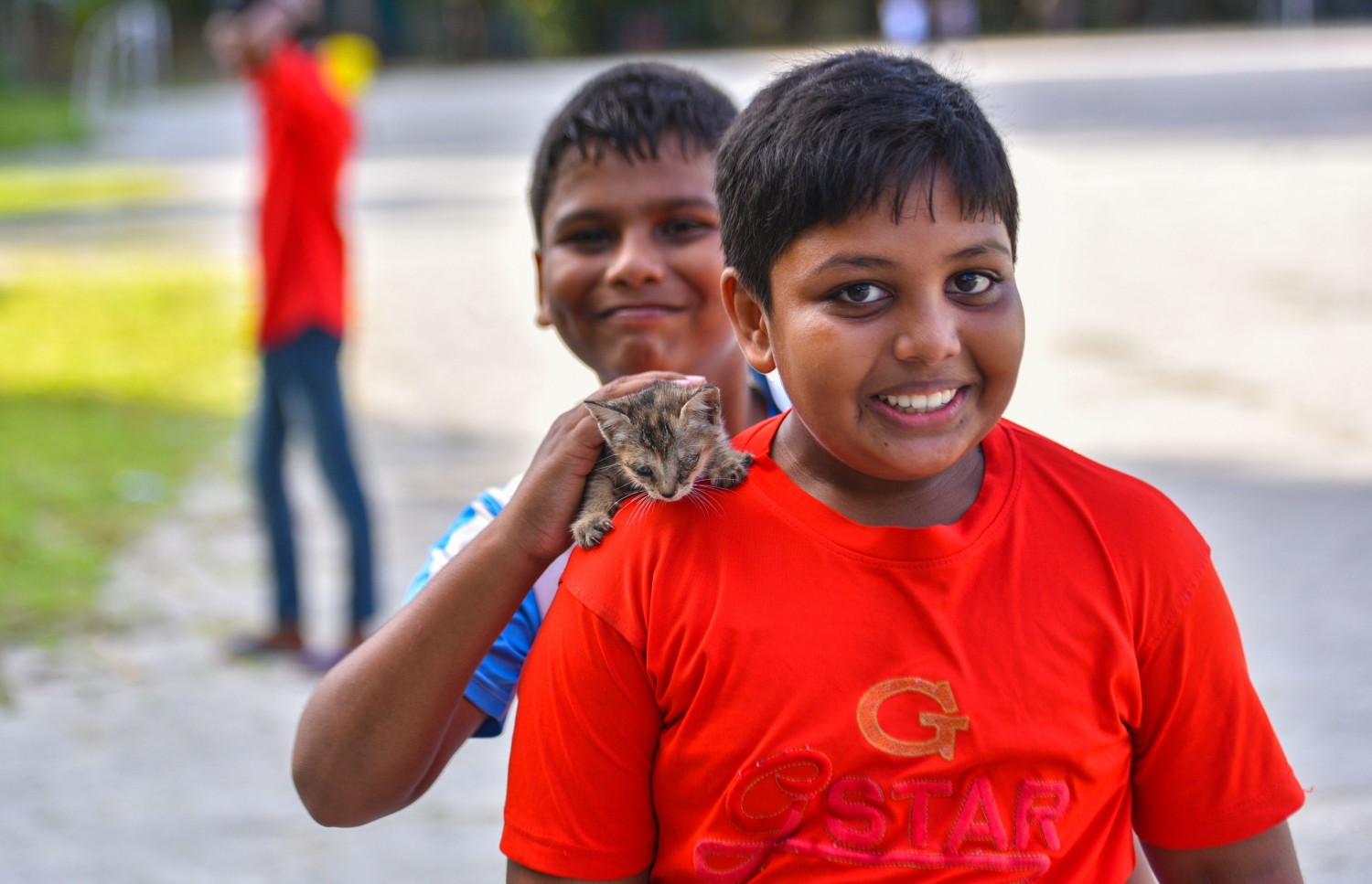 މޭ 28، 2017- ވިލިމާލޭގައި އޮޅުކޮށްގެން ގެންގުޅޭ ބުޅަލެއް ކުއްޖެއްގެ ކޮނޑުމަތީގައި: މި ރަށުގައި ގިނަބަޔަކު ބުޅަލާއި ގުރާ ފަދަ ދިރޭ އެއްޗެހި އޮޅުކޮށްގެން ގޭގައި ގެންގުޅޭ.---މިހާރު ފޮޓޯ: ހުސެއިން ވަހީދު