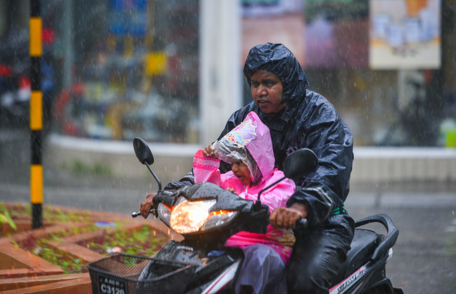 ބޯ ވާރޭ ތެރޭގައި ކުޑަ ކުއްޖަކު ގޮވައިގެން މީހަކު ސައިކަލްގައި މިއަދު ދަނީ. - ފޮޓޯ: ހުސެއިން ވަހީދު/ މިހާރު