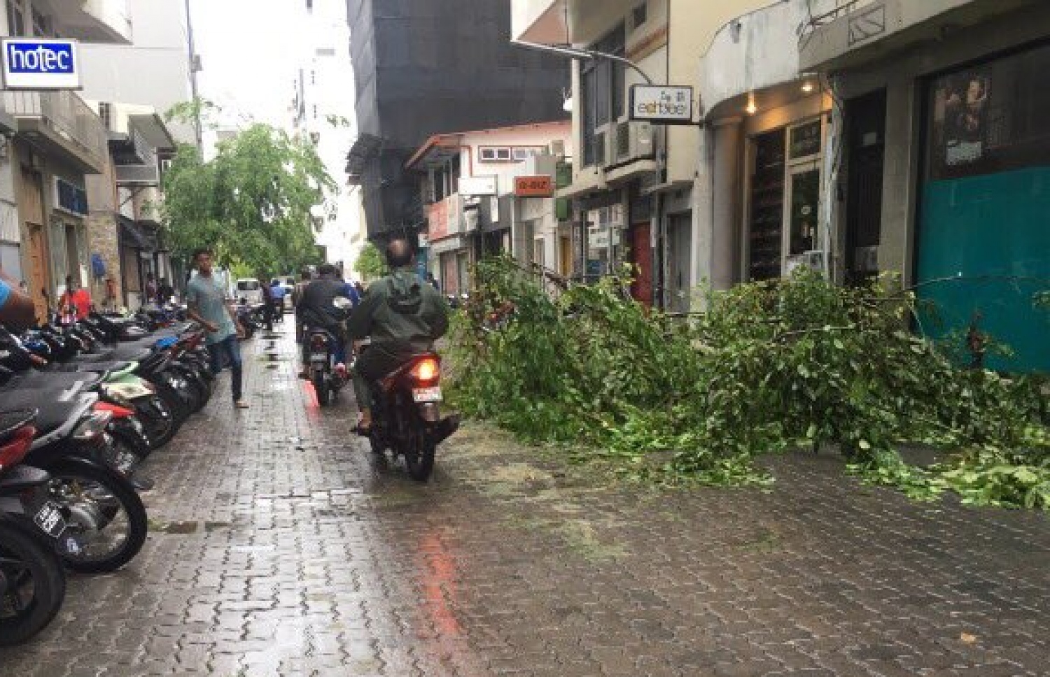 މަގެއްގައި އިންދާފައި ހުރި ގަހެއްގެ ބައެއް މިއަދު މަގުމައްޗަށް ވެއްޓިފައި.