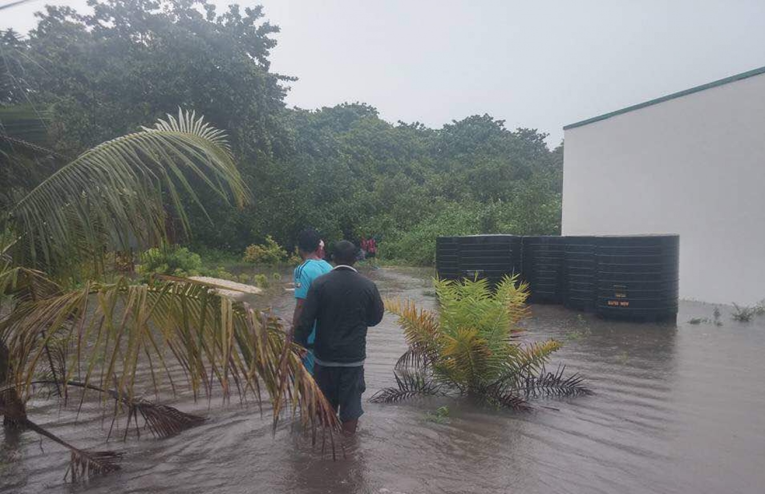 ވިއްސާރައިގައި އުލިގަމުގެ ބައެއް ސަރަހައްދުތަކުގައި ފެން ބޮޑުވެފައި