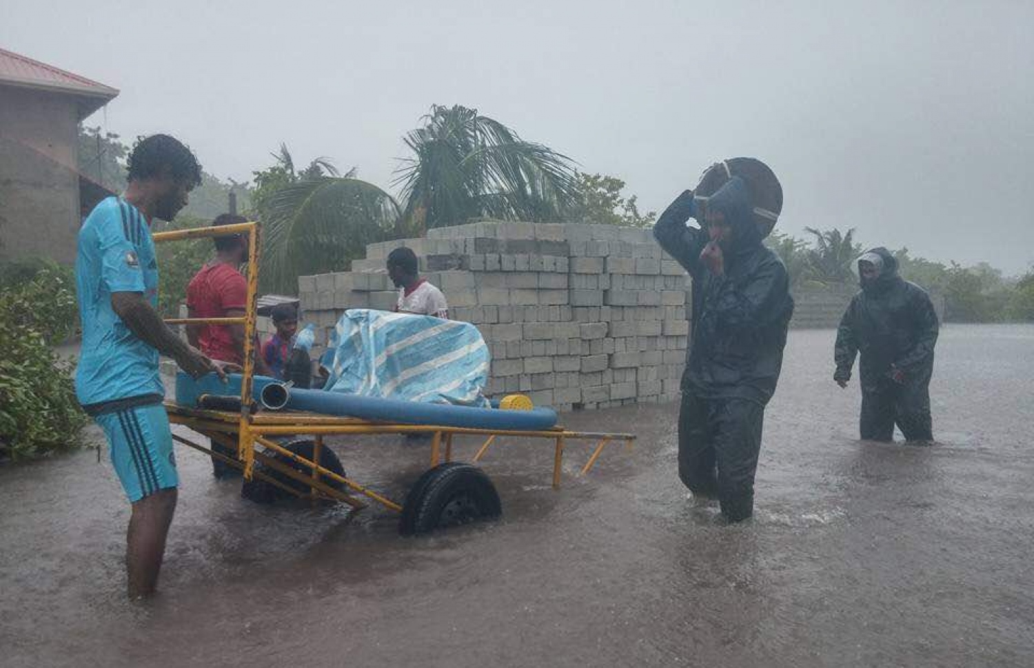 އުލިގަމަށް ކުރި ވިއްސާރައިގައި ފެންބޮޑުވެފައި: މި ވިއްސާރައިގައި އެ ރަށަށް ބޮޑެތި ގެއްލުންތަކެއް ލިބުނު.