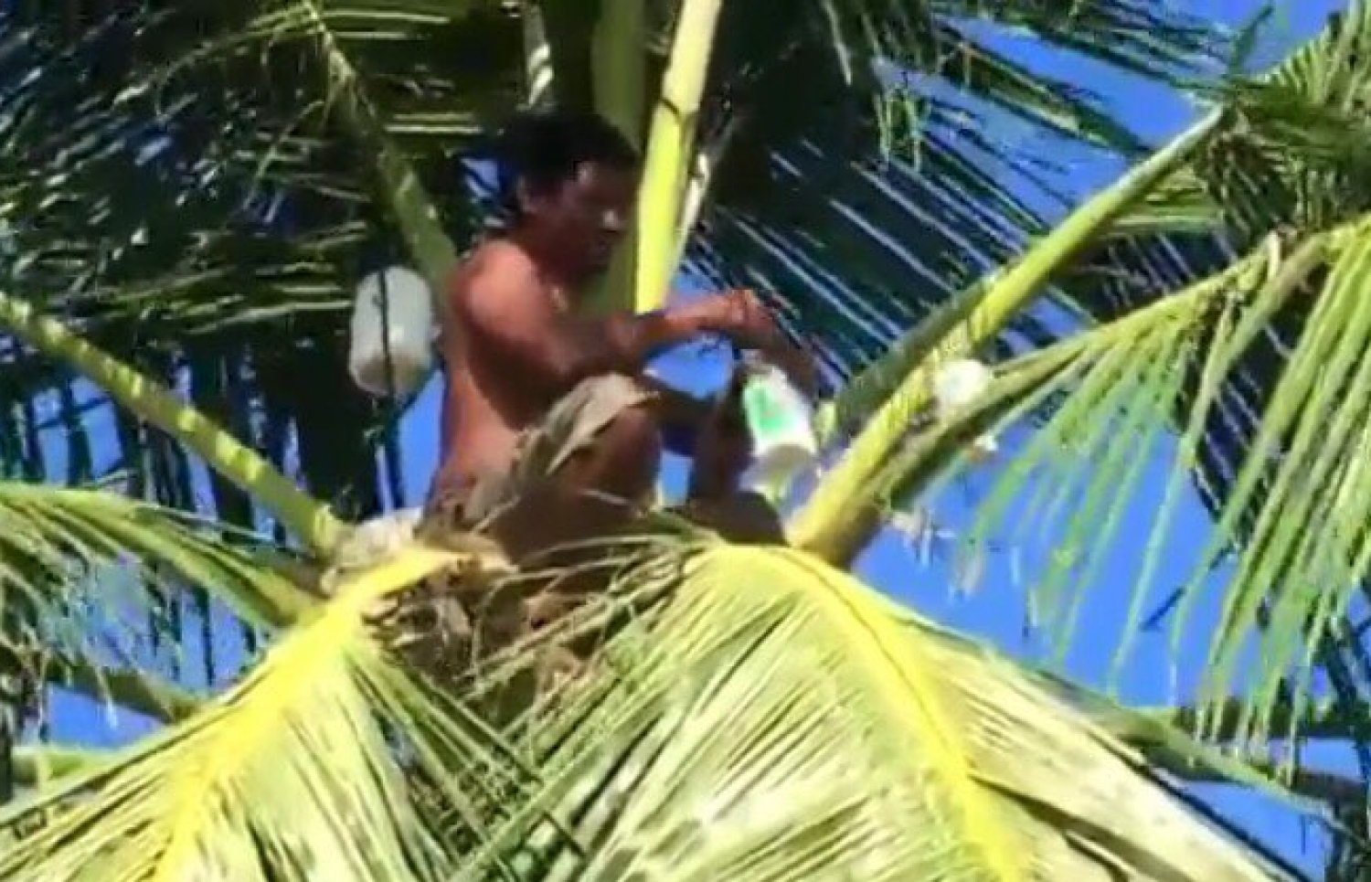 ކައުންސިލަރު ހަބީބު ރުކުގައި: އޮފީސް ނިންމާލެއްވުމަށް ފަހު ގެއަށް ވަޑައިގެން ވެސް އެ މަަސައްކަތް ކުރައްވާ ކަމަށް ވިދާޅުވި