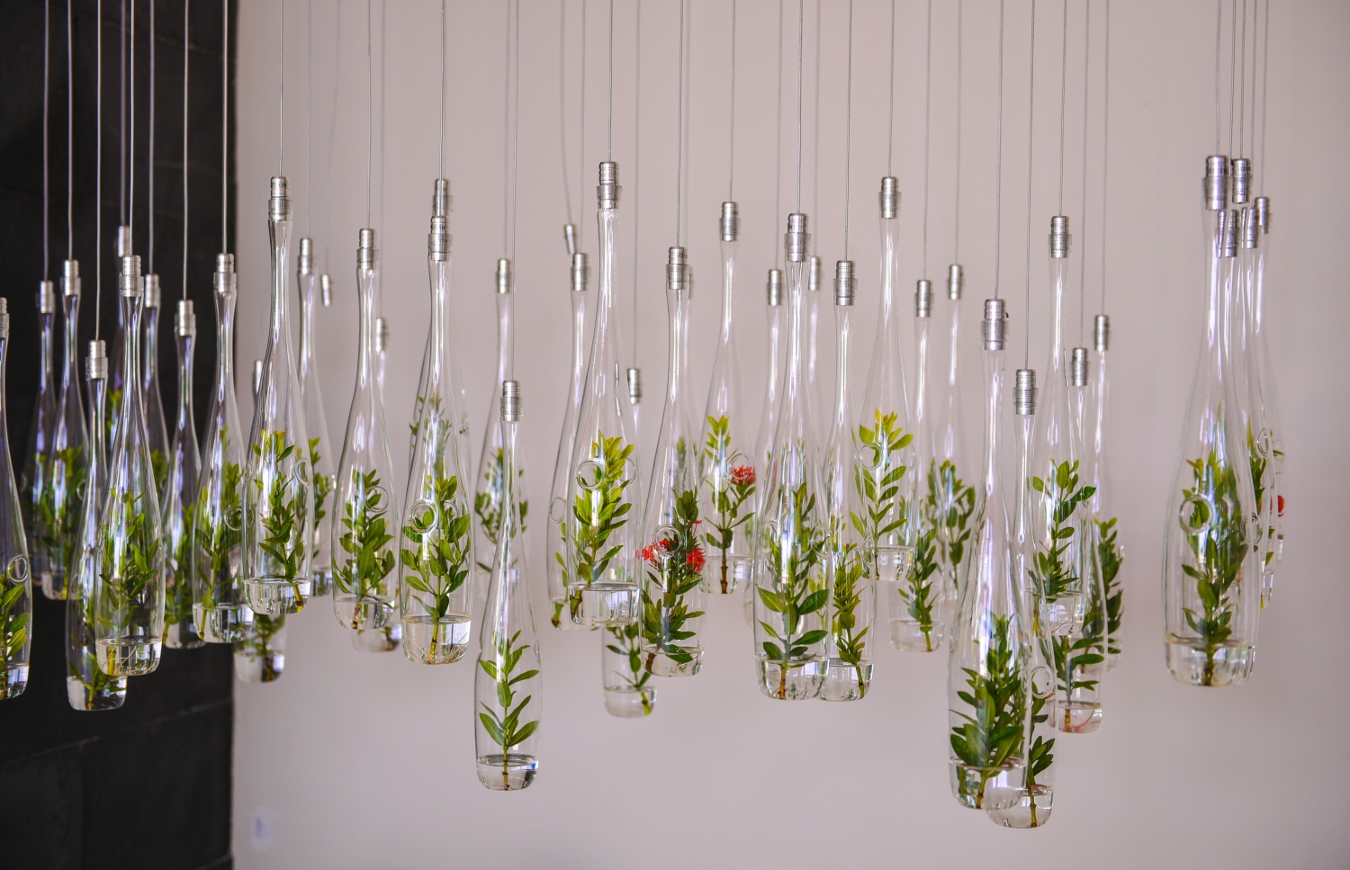 ކޮކޫން މޯލްޑިވްސް: ޖޫން 11، 2017- އިޓަލީގެ އެންމެ މަޝްހޫރު އެއް ޑިޒައިނިން ފާމް ކަމަށްވާ "ލާގޯ" އިން ޑިޒައިންކޮށްފައިވާ ރާއްޖޭގެ ފުރަތަމަ ޑިޒައިނާ ރިސޯޓު ކޮކޫން މޯލްޑިވްސްގެ ރިސެޕްޝަން އޭރިއާގައި ހައްދާފައިވާ ބިއްލޫރި ފުޅީގެ ގާޑަންއެއް.---މިހާރު ފޮޓޯ: ހުސެއިން ވަހީދު