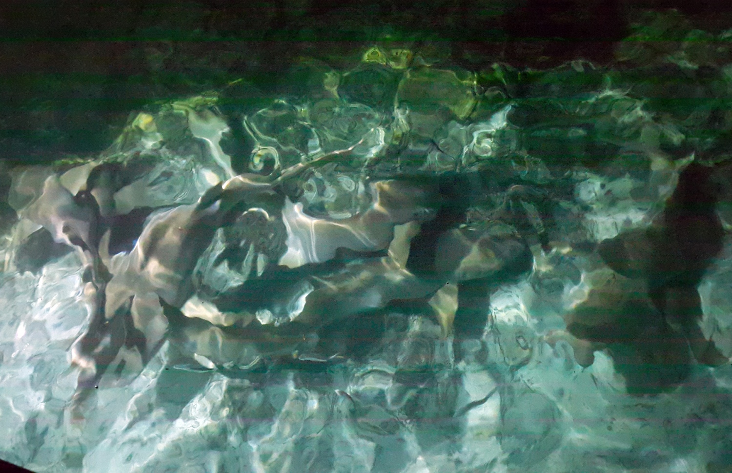 މިޔަރުތަކެއް ތިލަވެފައި: ރާއްޖޭގައި މިޔަރު ގިނަވެ ޓޫރިޒަމަށް ރަނގަޅު ފައިދާއެއް ކުރޭ