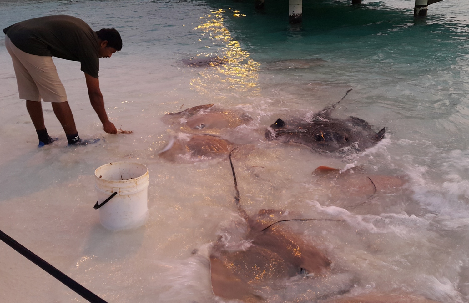 ސަން އައިލޭންޑް ރިސޯޓްގެ ހުޅަނގު ކޮޅު ޖެޓީ ކައިރި އަށް އެއްވެފައިވާ ބިޔަ މަޑިތަކަށް ކާންދެނީ. ފޮޓޯ: އަހްމަދު އަބްދުﷲ ސައީދު/މިހާރު