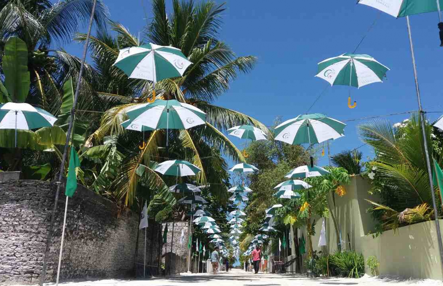 ތޮލަބަތުއްނޫރު ގުރުއާން ކްލާހަށް 50 އަހަރު ފުރުން ފާހަގަ ކުރުމަށް ކެންދޫގެ މަގެއްގައި ކުޑަ އެލުވައި ޒީނަތްތެރިކޮށްފައި