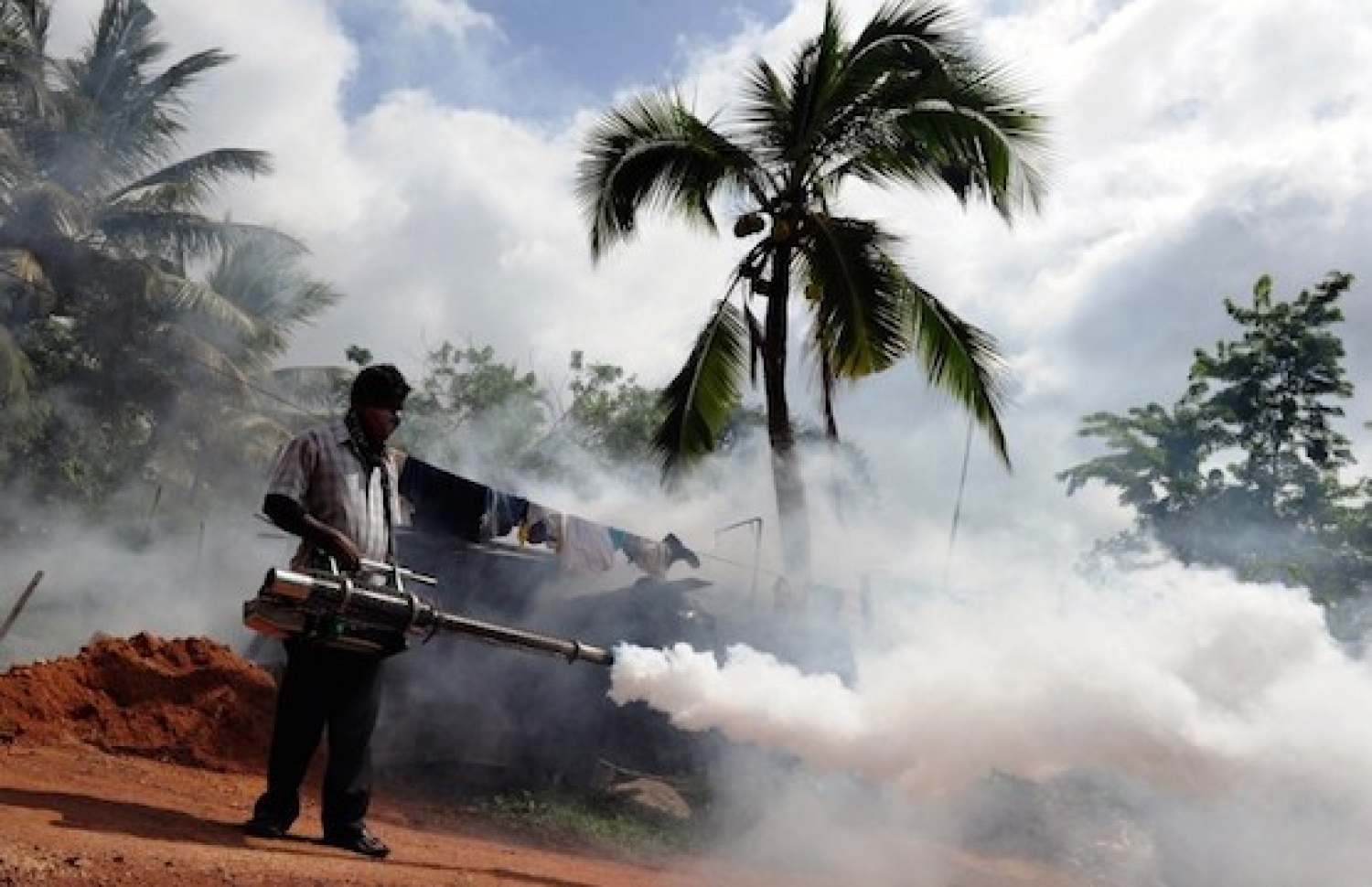 ޑެންގީ މަދިރި ނައްތާލަން ފޮގް ކުރަނީ.