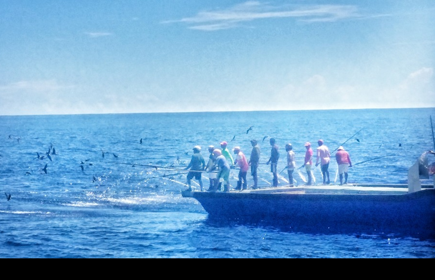 މަސްވެރިން މަސް ބާނަނީ: ޒުވާނުން މި މަސައްކަތުގެ ތެރެއަށް ވެއްދުން މުހިންމު