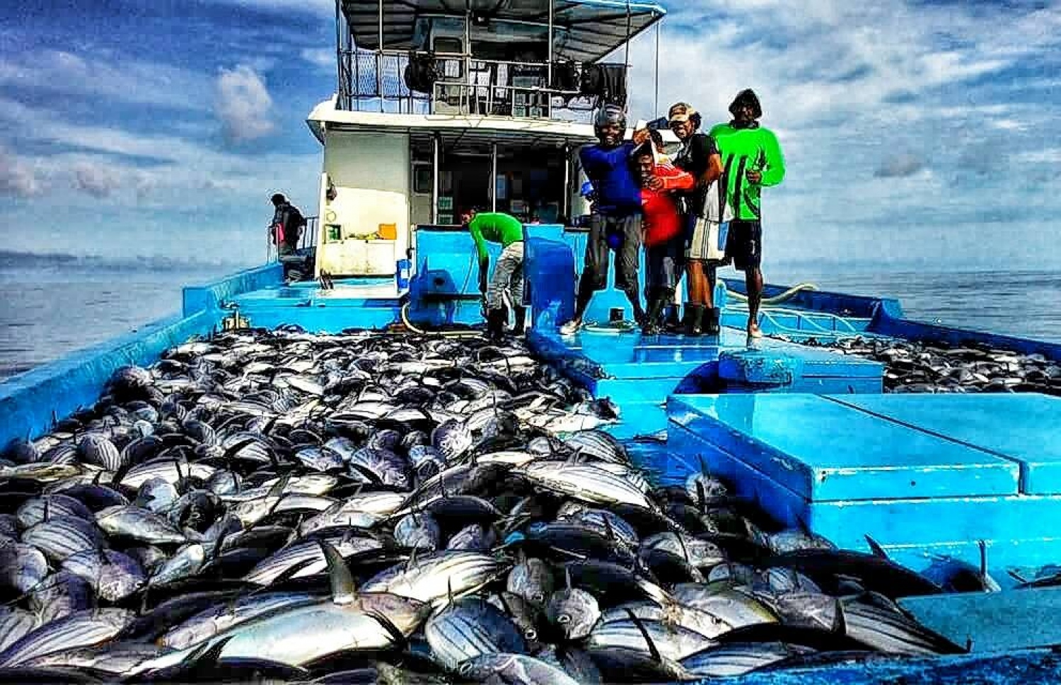 ގެމަނަފުށީ މަސްދޯންޏެއް މަސްތަކުން ފުރިފައި: ބޮޑު އާމްދަނީއެއް ލިބޭ -- ފޮޓޯ/ ފޭސްބުކް