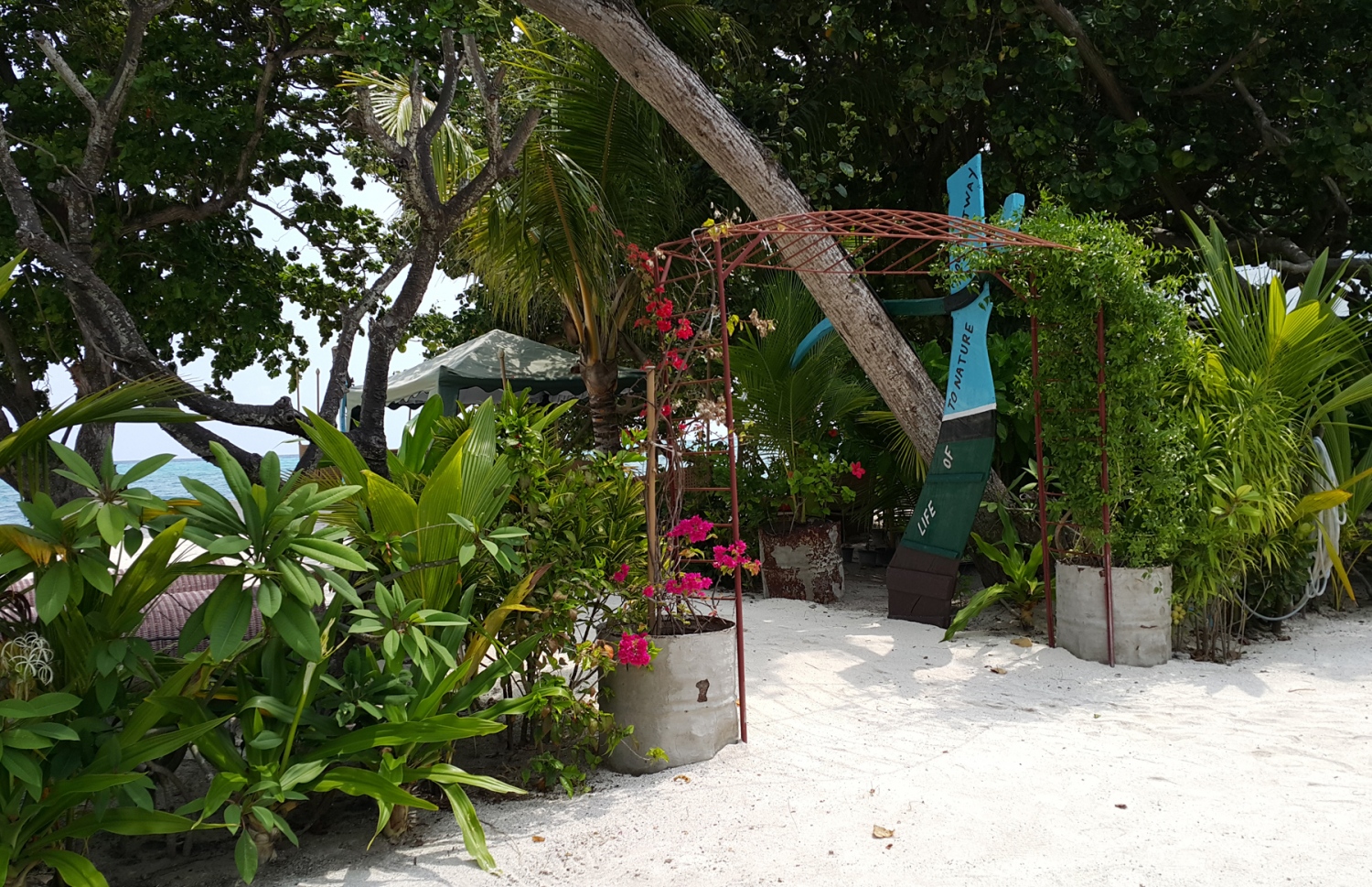 ފެހެންދޫގައި އެންމެ ފުޅާ ދާއިރާއެއްގައި ހިންގާ ގެސްޓް ހައުސް. ދިރިއުޅުމުގެ ވަސީލަތްތައް ހުރި ރަށަކަށް ބަދަލުވާން މި ރަށުގެ މީހުން ބޭނުންވޭ. ފޮޓޯ: އަހްމަދު އަބްދުﷲ ސައީދު/މިހާރު