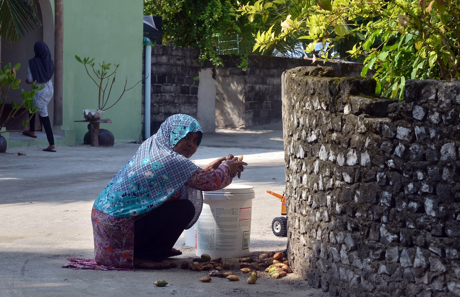 ބ. ފެހެންދޫ އަންހެނަކު، އަވީލާފައި ހުރި ކަނަތަކެއް ނަގަނީ. މި ރަށު މީހުން ބޭނުންވަނީ ބިން ބޮޑު އެހެން ރަށަކަށް ބަދަލުވާން. ފޮޓޯ އަހްމަދު އަބްދުﷲ ސައީދު/މިހާރު