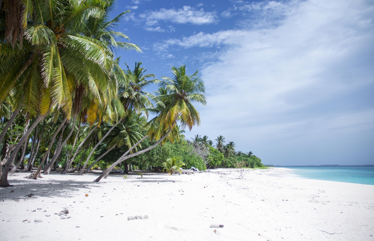 ރ.ކިނޮޅަސް: ޖޫން 28، 2017- ކިނޮޅަހު އަތިރިމަތީގައި ގިނަ އަދަދަކަށް ރުށް އިންދާފައި.---މިހާރު ފޮޓޯ: ހުސައިން ވަހީދު