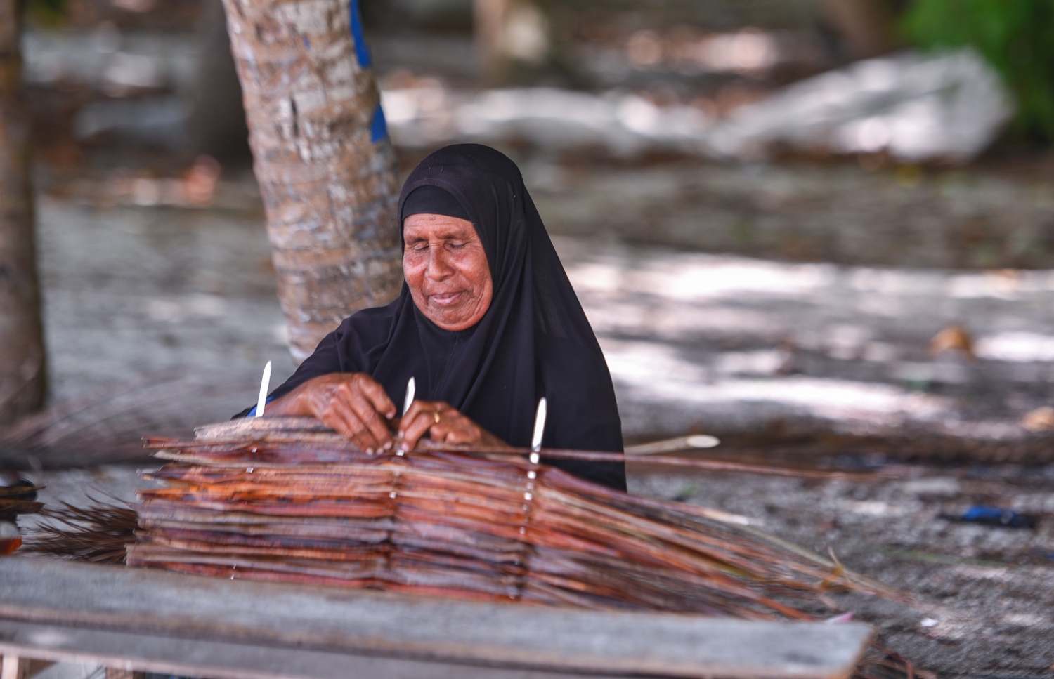 ރ.ކިނޮޅަސް: ޖޫން 28، 2017- ކިނޮޅަހު އަންހެނަކު ފަންގި ވިންނަނީ. މިކަމަކީ މިރަށުގެ ގިނަ އަދަދެއްގެ އަންހެނުން އާމްދަނީ ހޯދުމަށް ކުރާ މަސައްކަތެއް.---މިހާރު ފޮޓޯ: ހުސައިން ވަހީދު