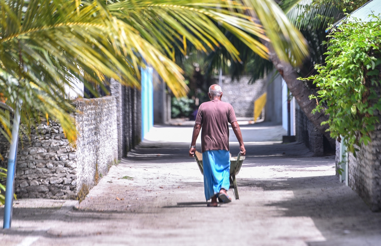 ރ.ކިނޮޅަސް: ޖޫން 28، 2017- ކިނޮޅަހު މަގެއްގެ މަތިން މީހަކު ބަރޯއެއް ހިފައިގެން ދަނީ.---މިހާރު ފޮޓޯ: ހުސައިން ވަހީދު