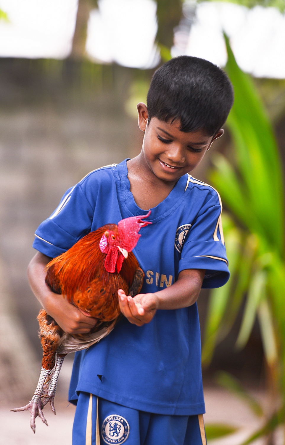 ރ.ފައިނު: ޖުލައި 7، 2017-ގެއެއްގައި އޮޅުކޮށްގެން ގެންގުޅޭ ހާލަކަށް، އެ ގޭ ކުޑަކުއްޖަކު ކާންދެނީ. --މިހާރު ފޮޓޯ: ހުސައިން ވަހީދު