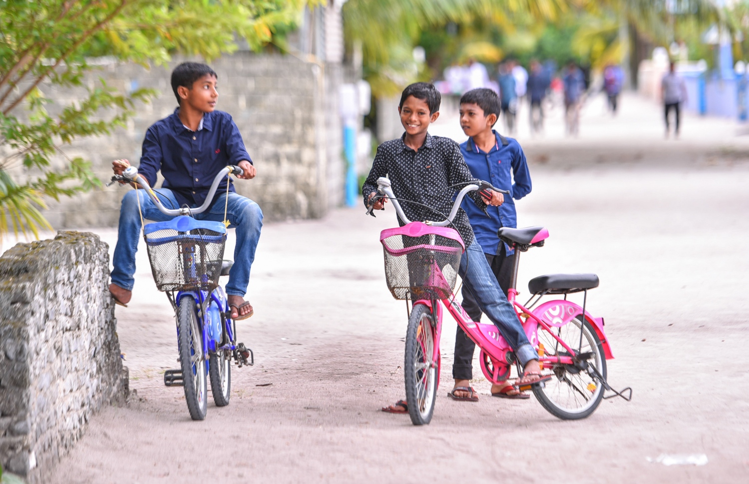 ރ.ފައިނު: ޖުލައި 7، 2017- ފައިނުގެ މަގެއްގެ މަތީގައި ބައިސިކަލު ދުއްވަން އުޅުނު ކުޑަކުދިންތަކެއް، ގަހެއްގެ ހިޔަލުގައި ވަރުބަލި ފިލުވާލުމަށް މަޑުކޮށްލައިގެން.---މިހާރު ފޮޓޯ: ހުސައިން ވަހީދު