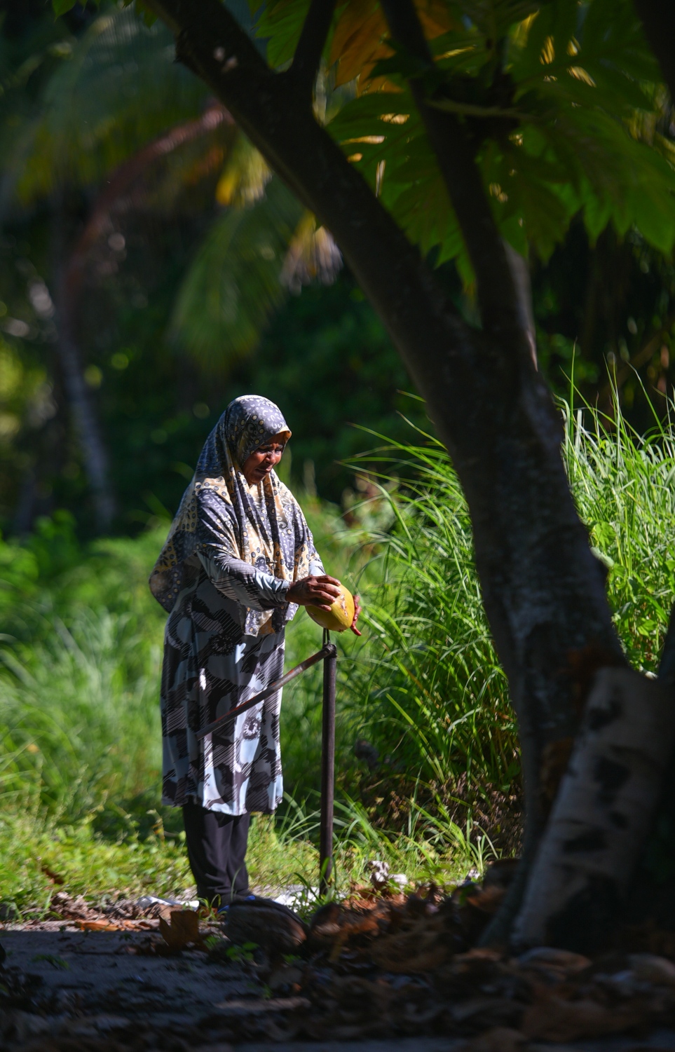 ރ.ފައިނު: ޖުލައި 7، 2017- ގެއެއްގެ ބޭރުގައި ހުރި ފޭރާއަކުން އަންހެނަކު ކާށި ހެހެނީ. --މިހާރު ފޮޓޯ: ހުސައިން ވަހީދު