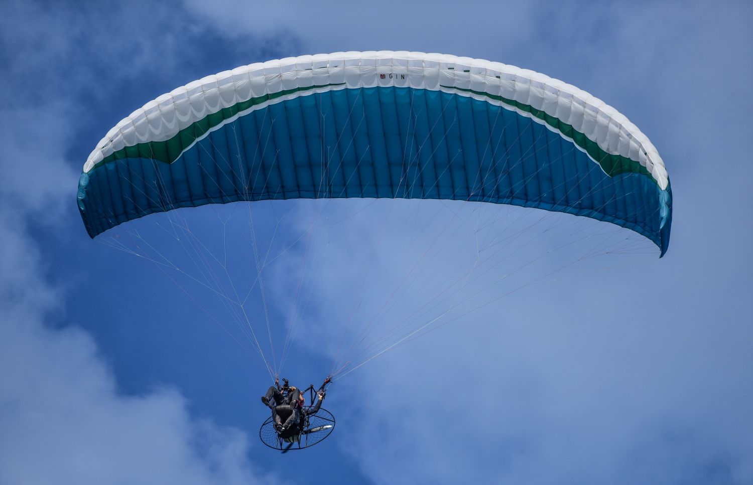 ޕީޕީއެމް ކެމްޕޭންގެ ތެރެއިން ވައިކުޑާގައި އުދުހުން