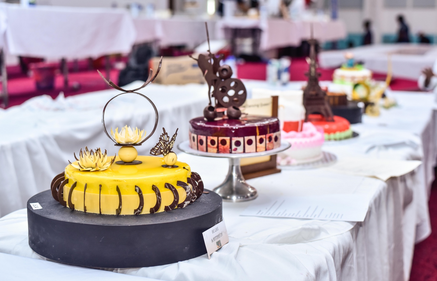 މާލެ: އޮގަސްޓް 8، 2017- ރާއްޖޭގައި ބާއްވަމުން އަންނަ އެންމެ ބޮޑު އިންޓަނޭޝަނަލް ފެއާ ކަމަށް ވާ ފުޑް އެންޑް ހޮސްޕިޓަލިޓީ އޭޝިއާ މޯލްޑިވްސް (އެފްއެޗްއޭއެމް) ފެއާގެ ތެރެއިން.---މިހާރު ފޮޓޯތައް: ހުސެއިން ވަހީދު