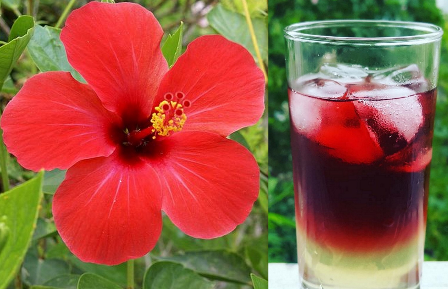 ސައިމަލުން އެޑަމް ހަދާފައި ވާ ސައިތައްޓެއް