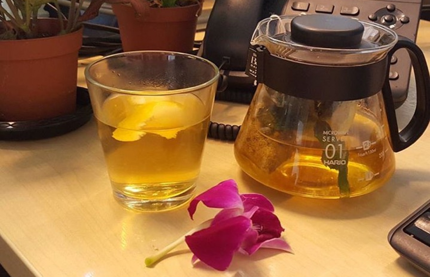 އެޑަމް އޭނާގެ އޮފީހުގައި ކެމޮމައިލް މަލުން ސައި ހަދާފައި