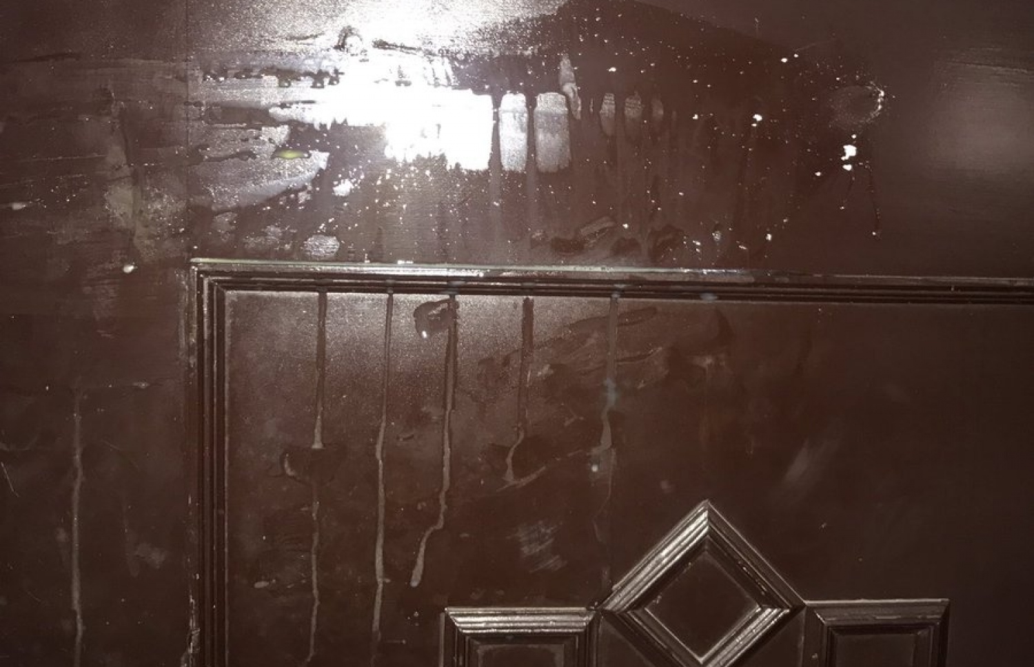 ރައްޔިތުންގެ މަޖިލިސް ތެރޭގައި ބިސް ޖަހާފައި. -- ފޮޓޯ: ރޮޒައިނާ އާދަމް/ޓްވިޓާ