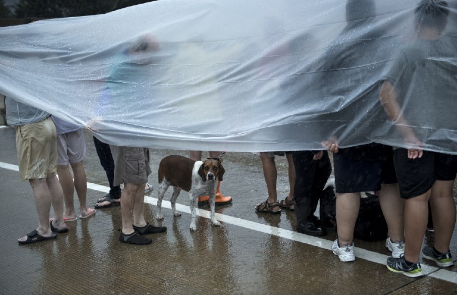 ޓެކްސަސްގެ ހިއުސްޓަންގައި ފެންބޮޑުވެ ހާލުގައި ޖެހިފައިވާ މީހުންނަށް އެހީވަނީ --ފޮޓޯ:އޭއެފްޕީ