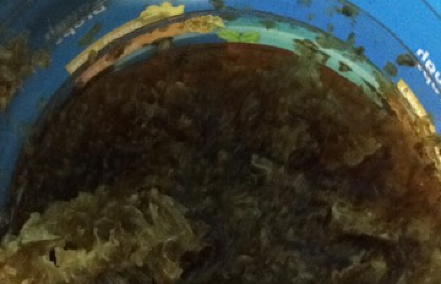 މާމުއި ހަތައެއް