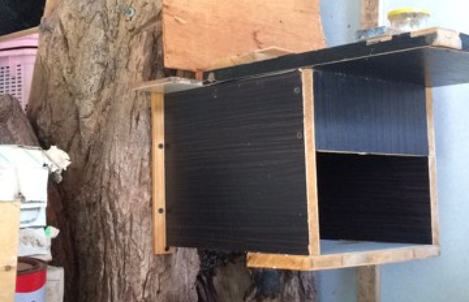 ހަތާތައް ބަހައްޓަން ހަދާފައިވާ ފޮއްޓެއް