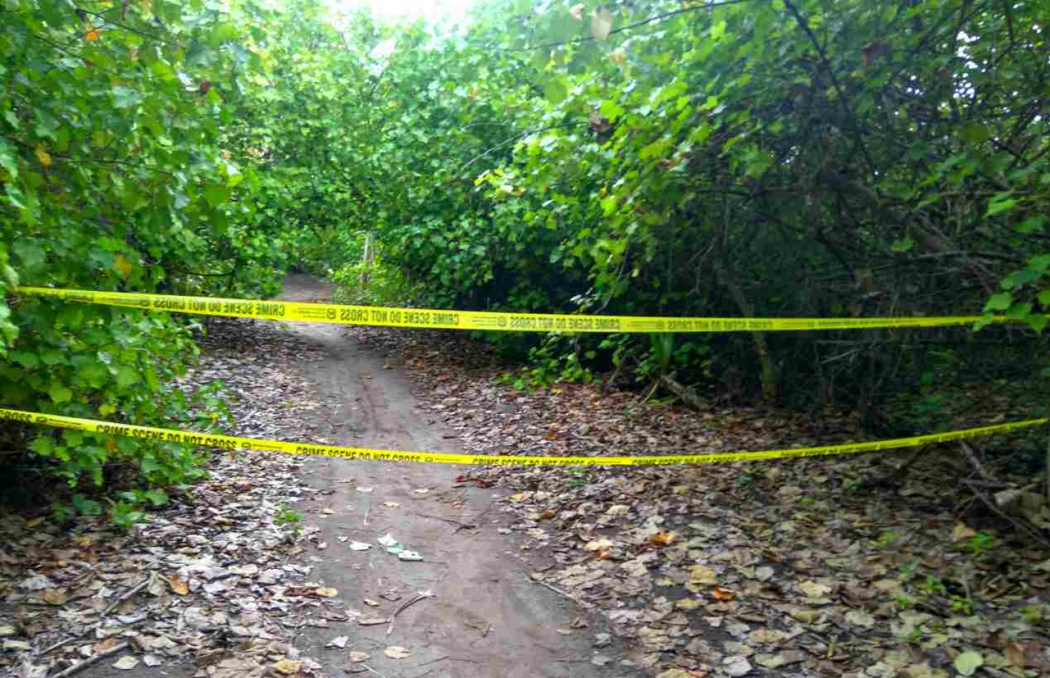 ދިގުރަށުން ގޮވާޒާތުގެ އެއްޗެއް ފެނުނު ކަމަށް ބުނާ ސަރަހައްދު މިއަދު ބަންދުކޮށްފައި.--- ފޮޓޯ: ދިގުރަށު ކައުންސިލް