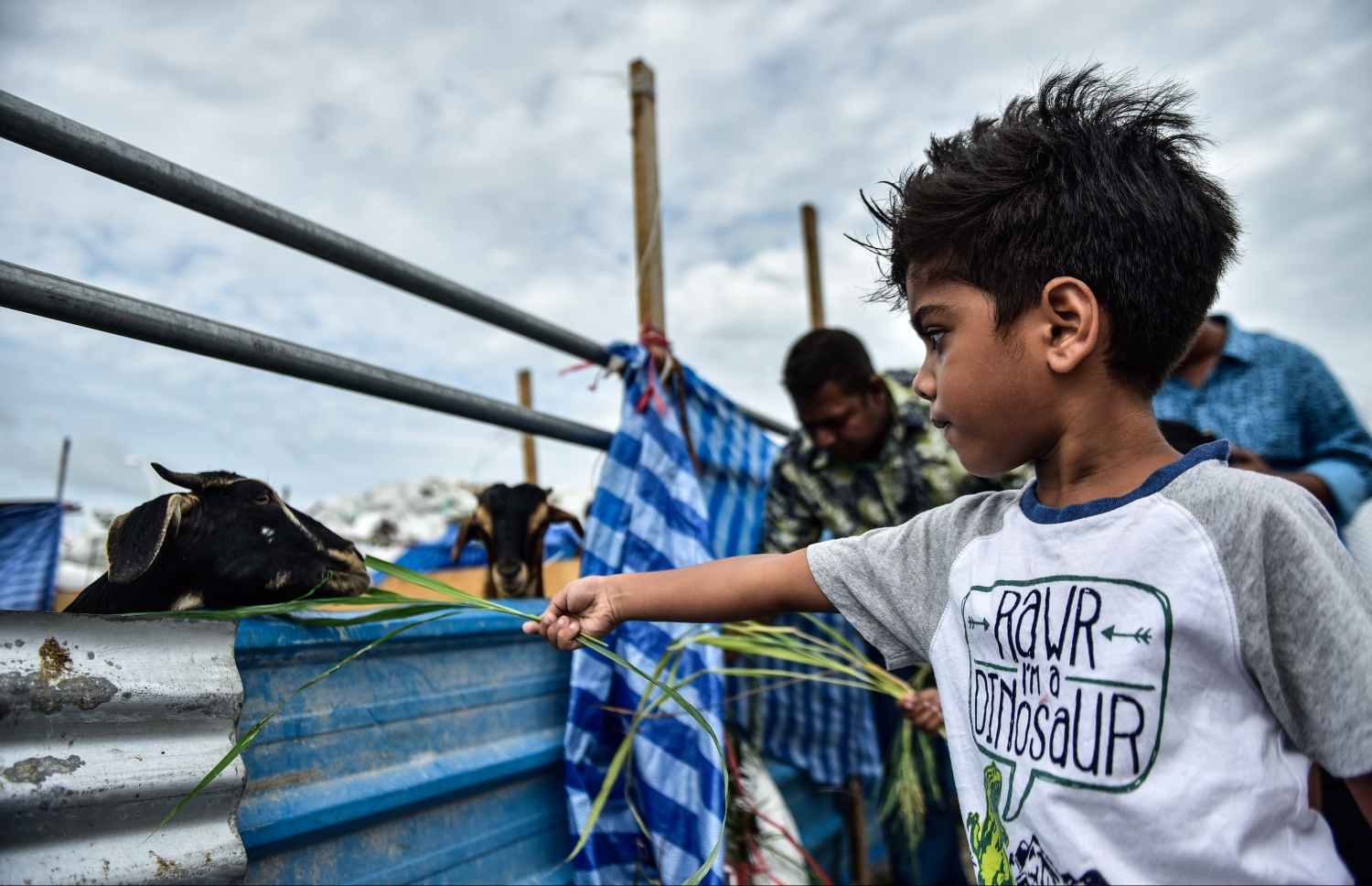 މާލެ: ސެޕްޓެމްބަރ 1، 2017- އަޟްހާ އީދު ނަމާދަށް ފަހު އިންޑަސްޓްރިއަލް ވިލެޖުގައި ބަކަރި ކަތިލުން.---މިހާރު ފޮޓޯ: ހުސައިން ވަހީދު