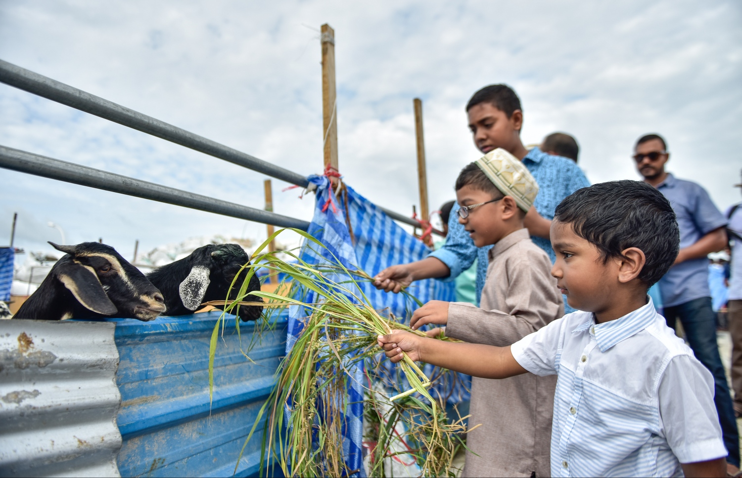 މާލެ: ސެޕްޓެމްބަރ 1، 2017- އަޟްހާ އީދު ނަމާދަށް ފަހު އިންޑަސްޓްރިއަލް ވިލެޖުގައި ބަކަރި ކަތިލުން.---މިހާރު ފޮޓޯ: ހުސައިން ވަހީދު