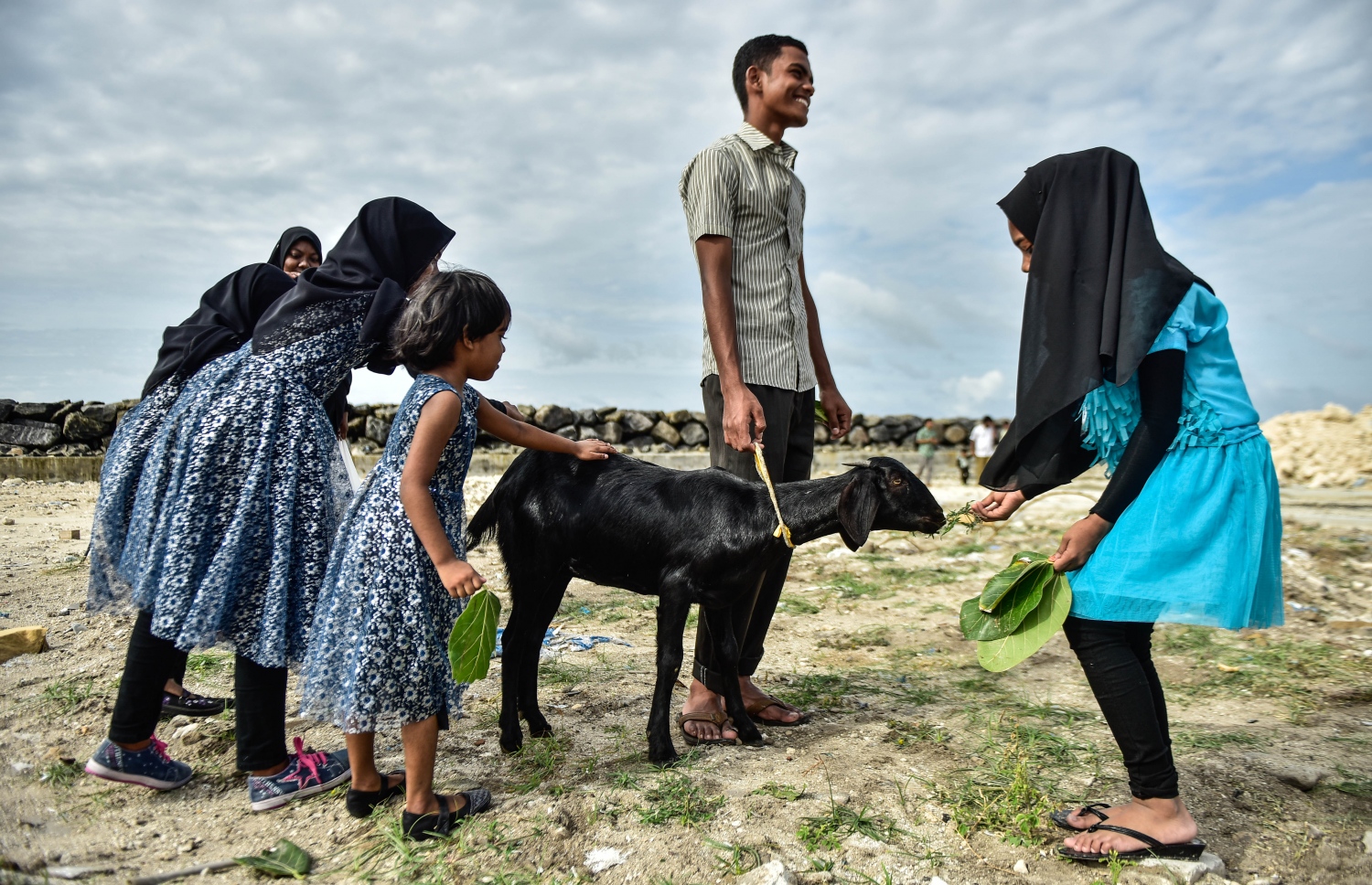 އަޟްހާ އީދު: ބަކަރި ކަތިލުން