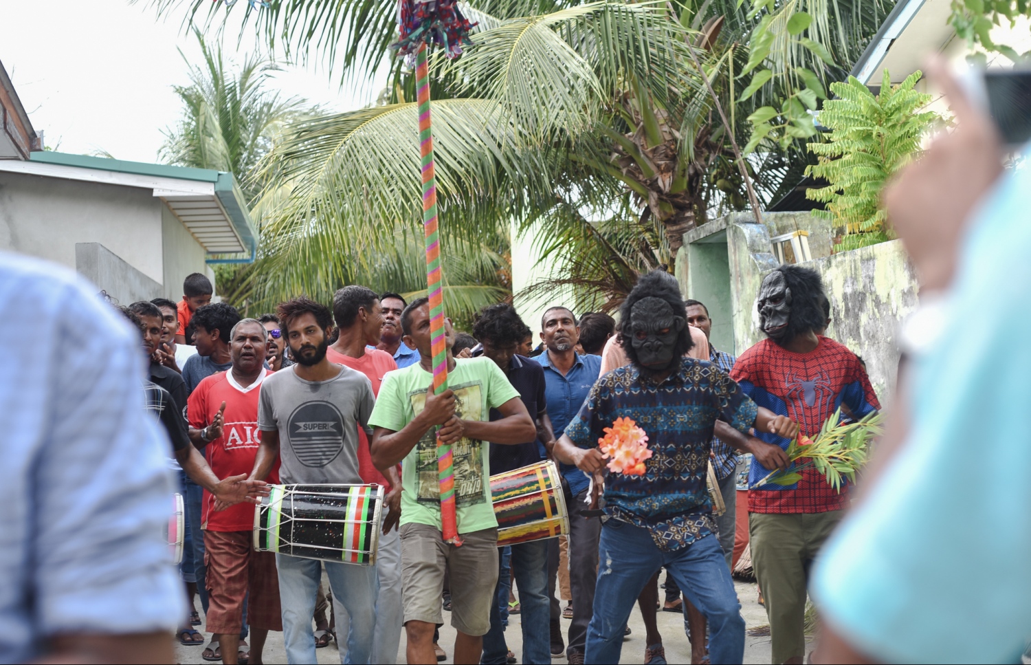 ށ. ފުނަދޫ: ސެޕްޓެމްބަރު 1، 2017- މި އަހަރުގެ އަޟްހާ އީދު ދުވަސް ފާހަގަކުރުމުގެ ގޮތުން ފުނަދޫގައި ބޭއްވި ސަގާފީ ކުޅިވަރުތަކުގެ ތެރެއިން ކޯޑި ނެގުން.---މިހާރު ފޮޓޯ: އަމާނީ އަބްދުﷲ