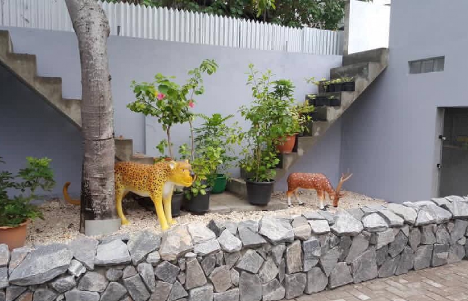 ކުޑަކުދިންގެ ބަގީޗާގައި ބަހައްޓާފައިވާ ޕްލާސްޓިކް ޖަނަވާރުތަކެއް.