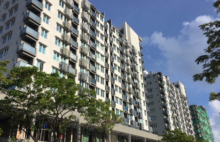 ބައްސާމް މައްސަލައިގެ ދައުވާ އަމިންގެ މައްޗަށް ސާބިތެއް ނުވި