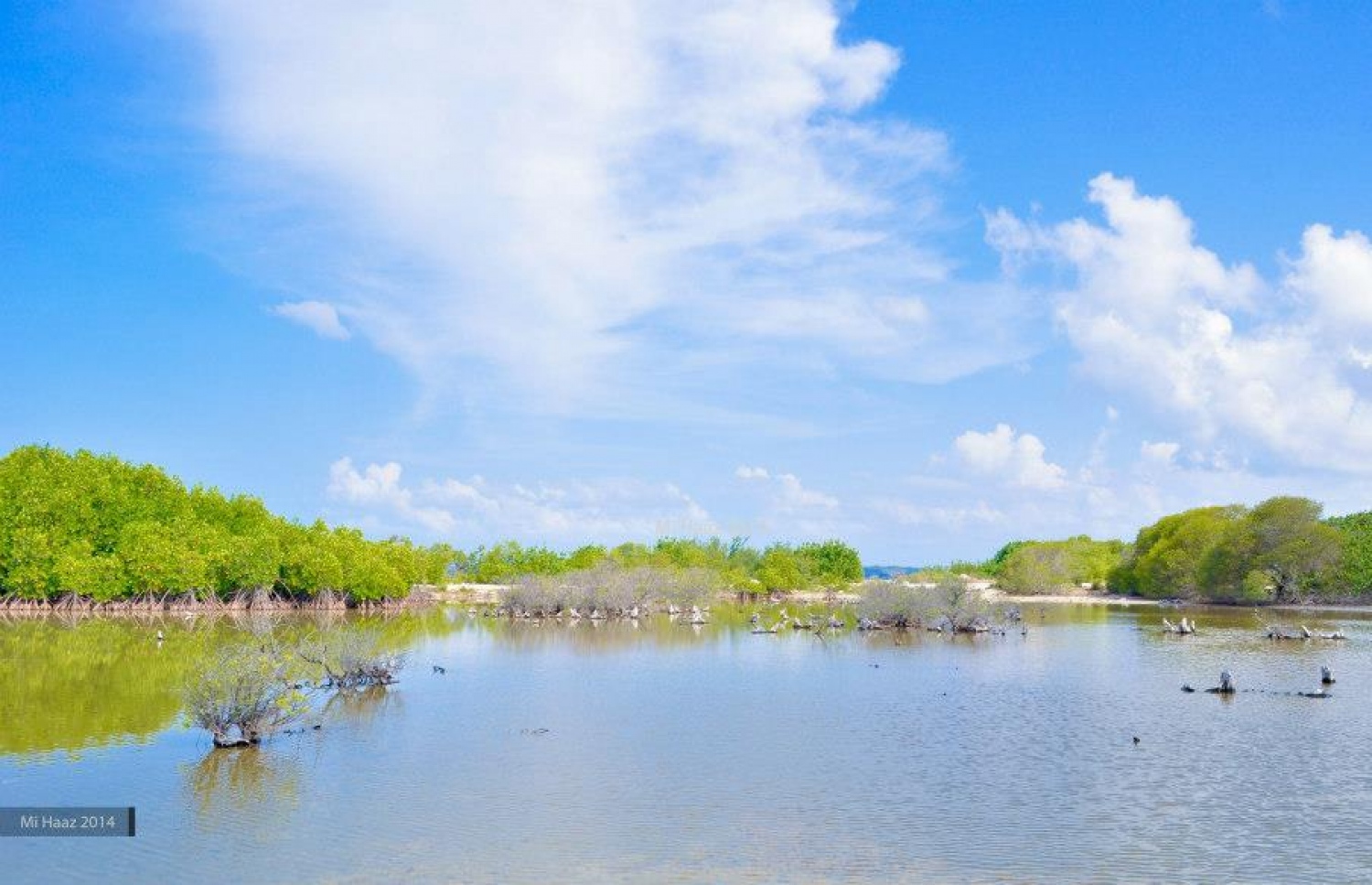 ކުޅުދުއްފުށީ ކުޅި: މިއީ ގުދުރަތީގޮތުން މުއްސަނދި ތަނެއް-- ފޮޓޯ: މިހާޒް