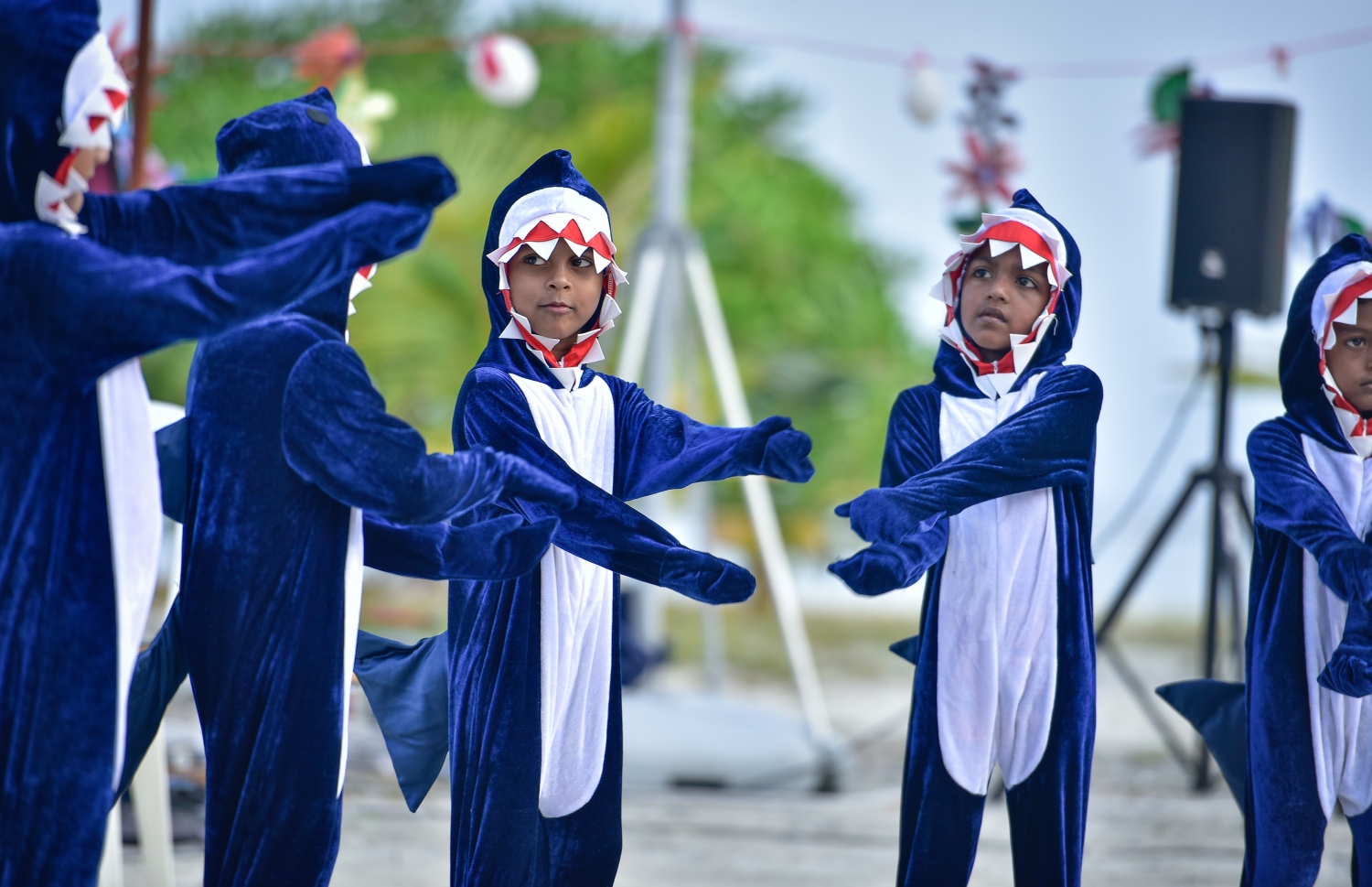 ކ. މާފުށި: ނޮވެމްބަރު 4، 2017- މިހާރު އެވޯޑްސްގެ ފަރާތުން އިންތިޒާމް ކުރި ސްޕޯޓްސް ސްޓާސް ފިއެސްޓާގައި މާފުށީ ސްކޫލުގެ ބައެއް ކުދިން މުނިފޫހިފިލުވުމުގެ ހަރަކާތެއް ހުށަހަޅައިދެނީ.---މިހާރު ފޮޓޯ