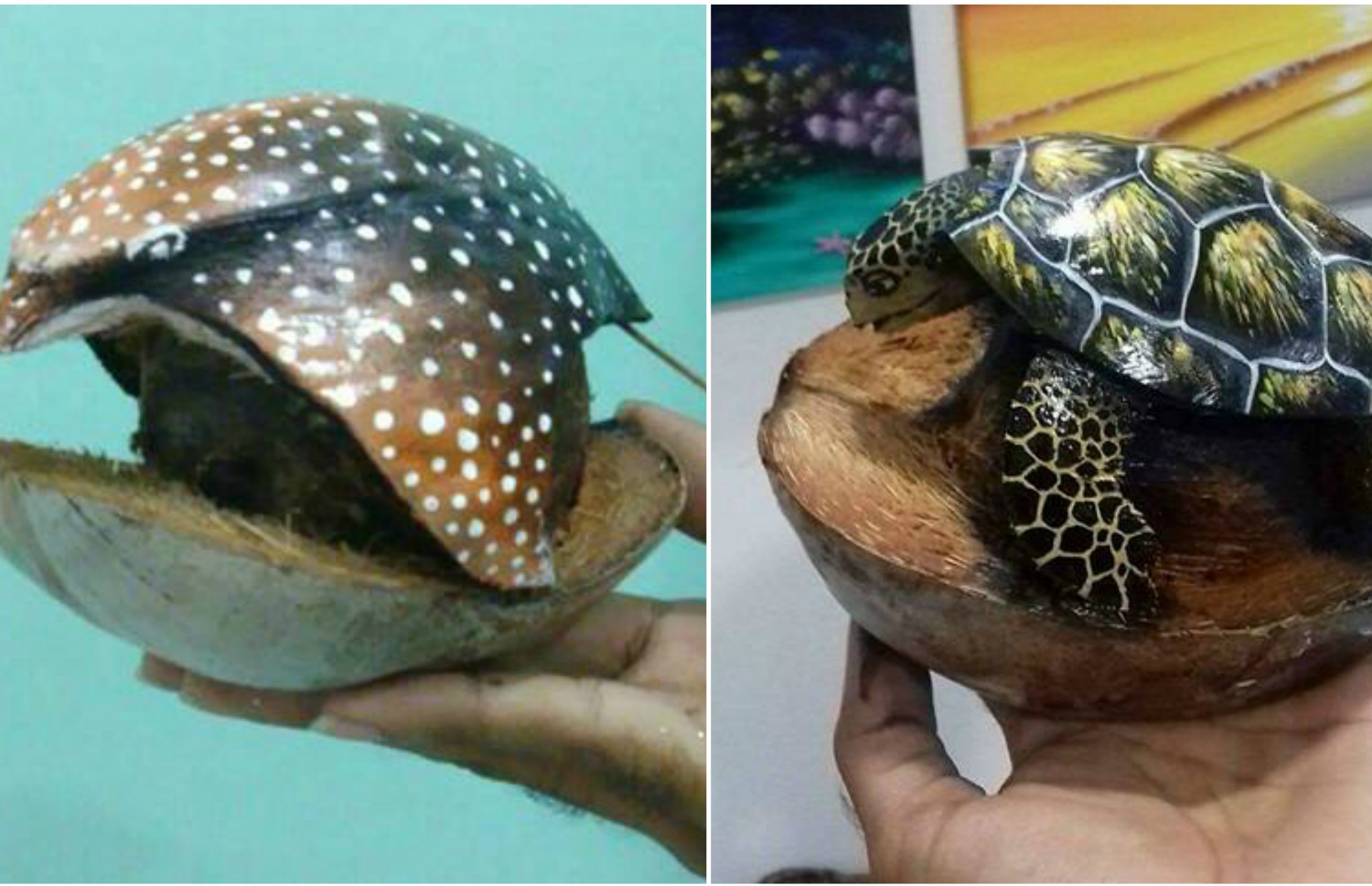 ކާއްޓެއް ބޭނުންކޮށްގެން ރިފާޒް ހަދާފައިވާ ވެލަޔަކާއި މަޑިއެއް