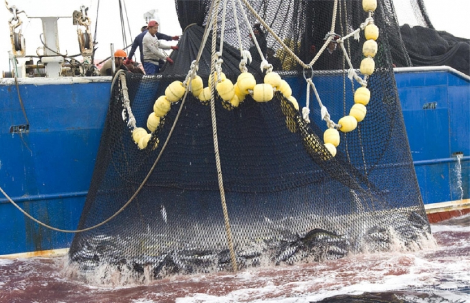 ބޭރުގެ ބޯޓަކުން ދާ އަޅައިގެން މަސްވެރިކަން ކުރަނީ: ރާއްޖޭގެ ސަރަހައްދަށް މަސް ވަނުމުގެ ކުރިން ބައެއް ބޯޓުފަހަރުން މަސްތައް ކަހާލާ