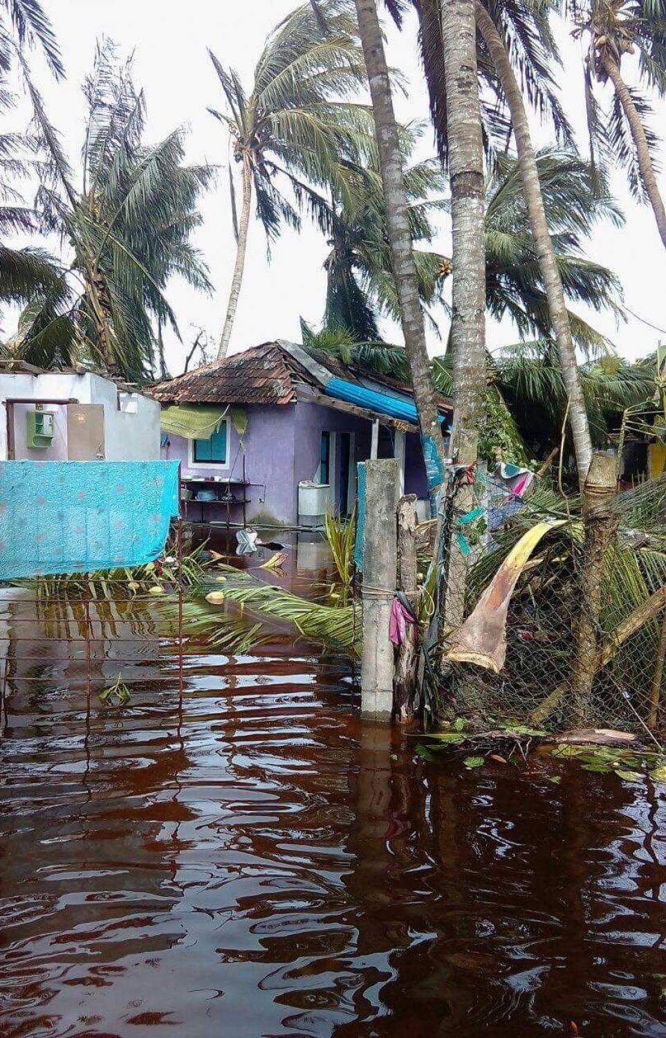 މަލިކު: ޑިސެމްބަރު 3، 2017: ބާރުގަދަ ކޮޅިގަނޑުގައި މަލިކުގެ މަގެއްގެ މައްޗަށް  ރުއްތަކެއް ވެއްޓި، މުޅި މަގުގައި ފެންބޮޑުވެ ހަޑިވެފައި.