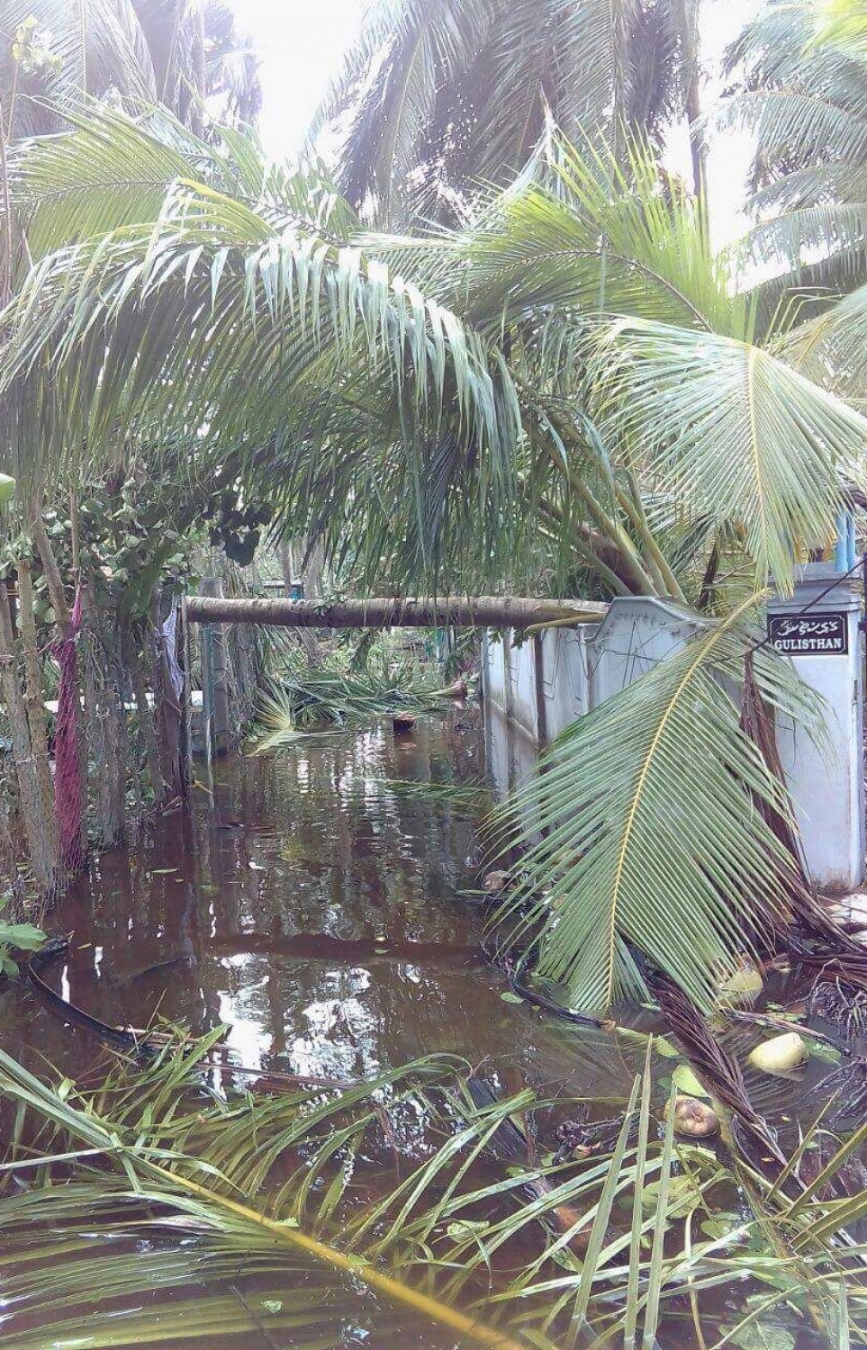 މަލިކު: ޑިސެމްބަރު 3، 2017: ބާރުގަދަ ކޮޅިގަނޑުގައި މަލިކުގެ މަގެއްގެ މައްޗަށް ރުއްތަކެއް ވެއްޓި، ނުހިނގޭވަރަށް މުޅި މަގުގައި ފެންބޮޑުވެ ހަޑިވެފައި.