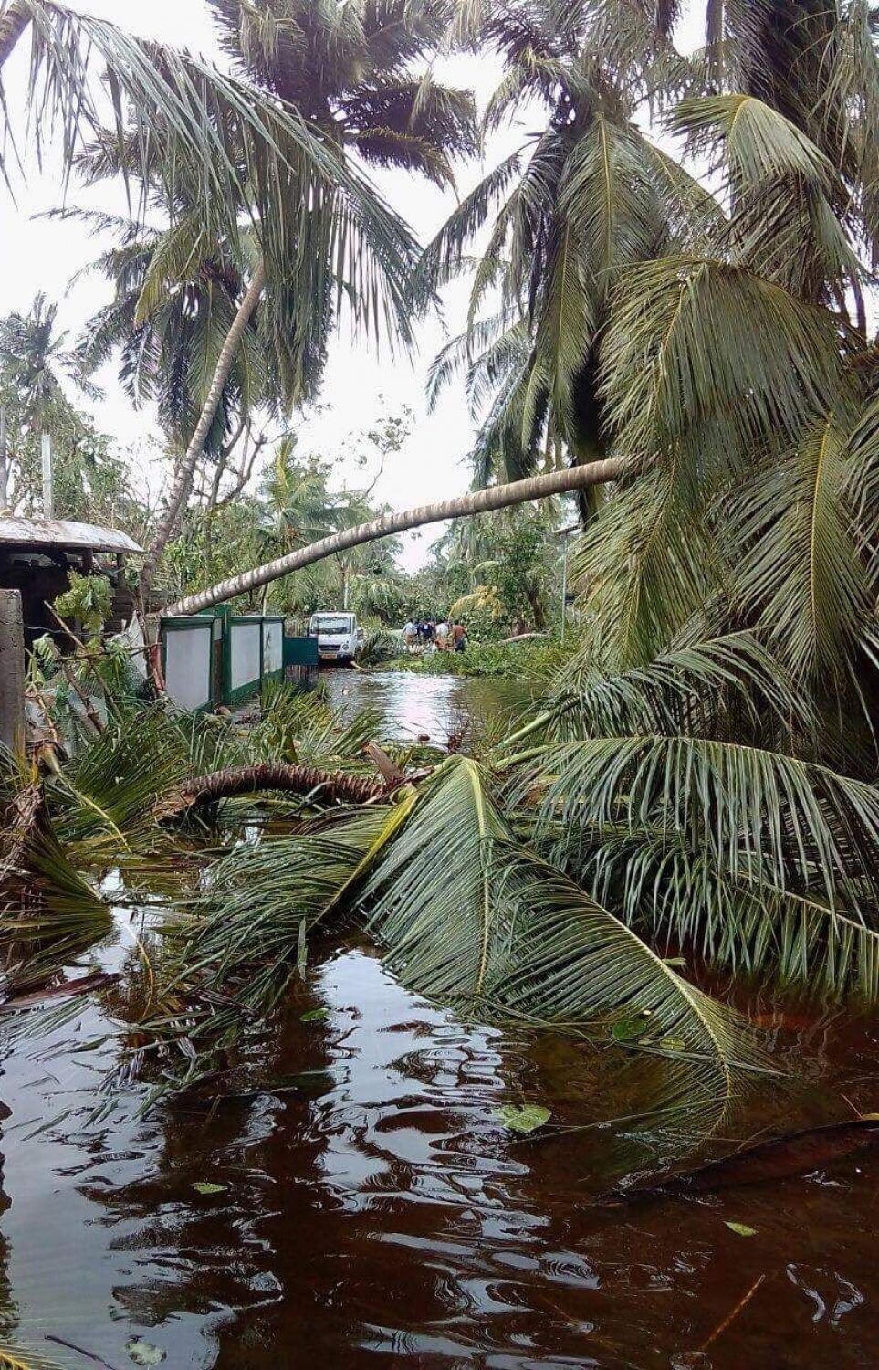 މަލިކު: ޑިސެމްބަރު 3، 2017: ބާރުގަދަ ކޮޅިގަނޑުގައި މަލިކުގެ މަގެއްގެ މައްޗަށް  ރުއްތަކެއް ވެއްޓި، މަގުގައި އެއްކޮށް ފެންބޮޑުވެ ހަޑިވެފައި.