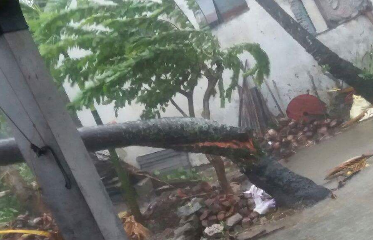 މަލިކު: ޑިސެމްބަރު 3، 2017: ބާރުގަދަ ކޮޅިގަނޑުގައި މަލިކުގެ ގެއެއްގައި ހުރި ރުކެއް ބިންދައިގެން ގޮސްފައި.