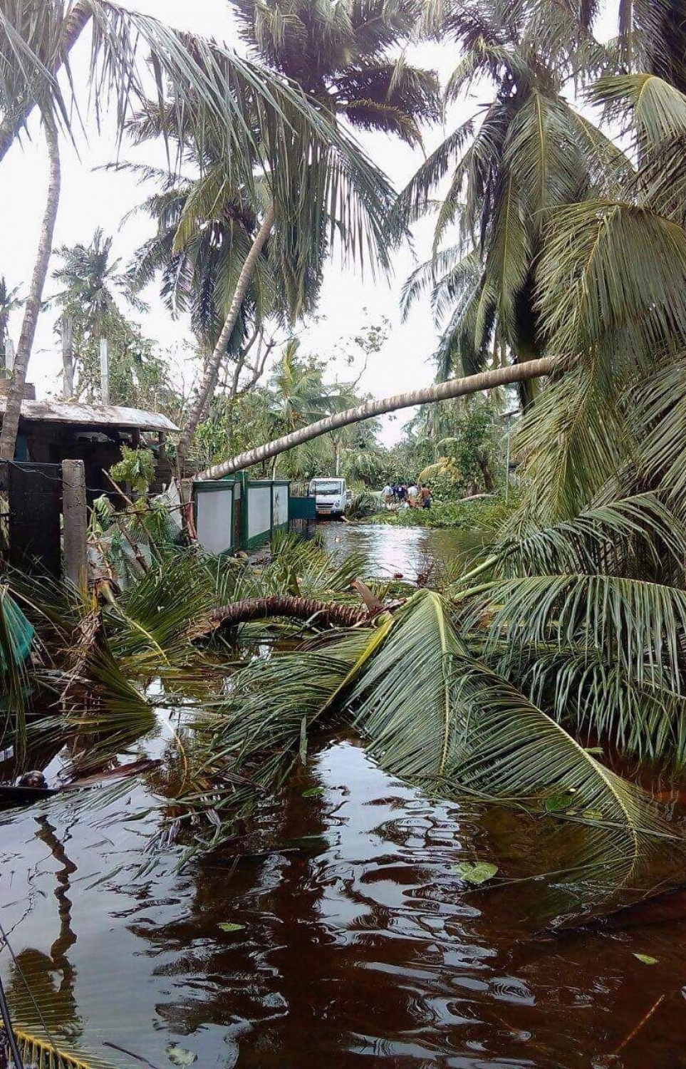 މަލިކު: ޑިސެމްބަރު 3، 2017: ބާރުގަދަ ކޮޅިގަނޑުގައި މަލިކުގެ މަގެއްގެ މައްޗަށް  ރުއްތަކެއް ވެއްޓި، މުޅި މަގު އެއްކޮށް ފެންބޮޑުވެ ހަޑިވެފައި.