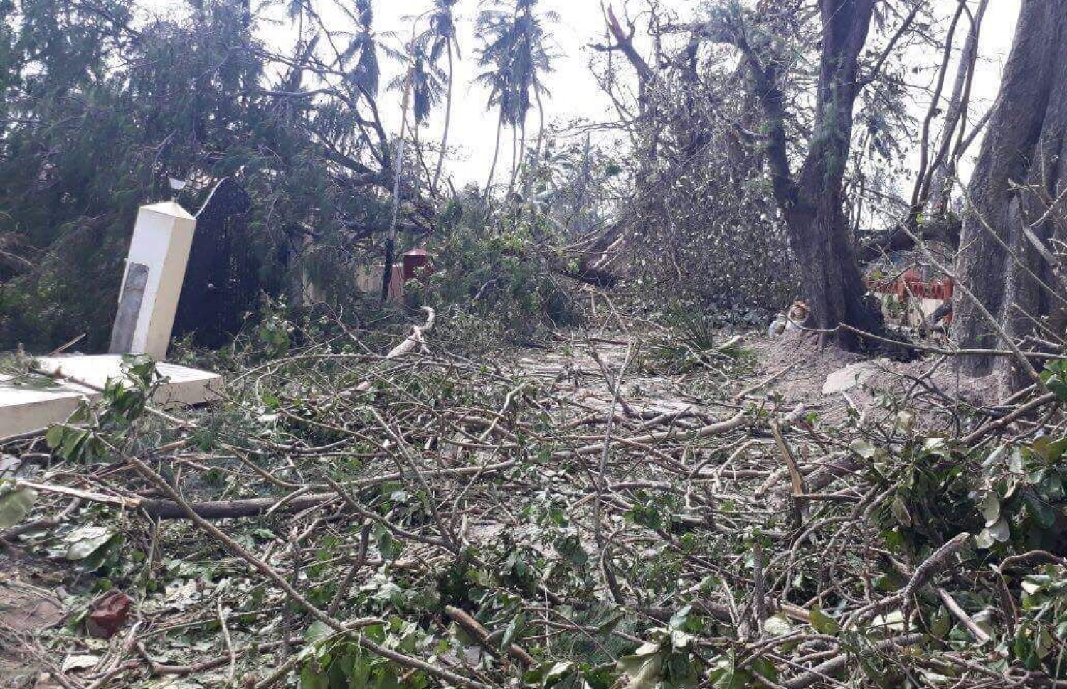 މަލިކު: ޑިސެމްބަރު 3، 2017: ބާރުގަދަ ކޮޅިގަނޑުގައި މަލިކުގެ މަގެއްގެ މައްޗަށް  ރުކާއި ގަސްފަދަ އެއްޗިހި ވެއްޓި މުޅި މަގު އެއްކޮށް ކުނިތަކުން ފުރިފައި.