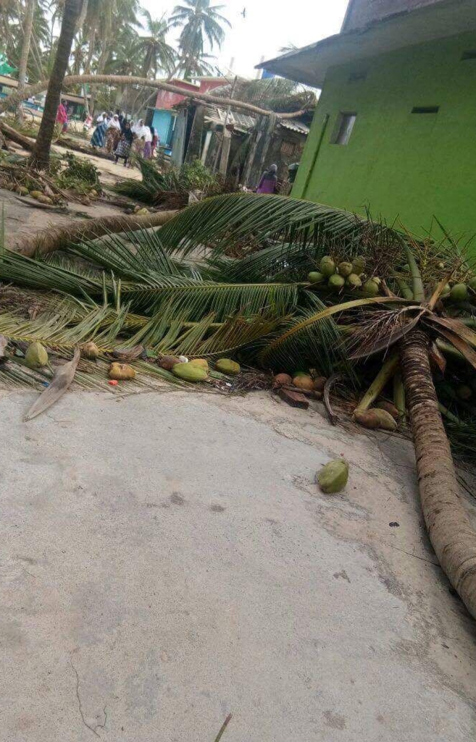 މަލިކު: ޑިސެމްބަރު 3، 2017: ބާރުގަދަ ތޫފާނުގައި މަލިކުގެ ގެތަކެއްގެ ގޯތިތެރެއަށް ރުއްތަކެއް ވެއްޓިފައި.