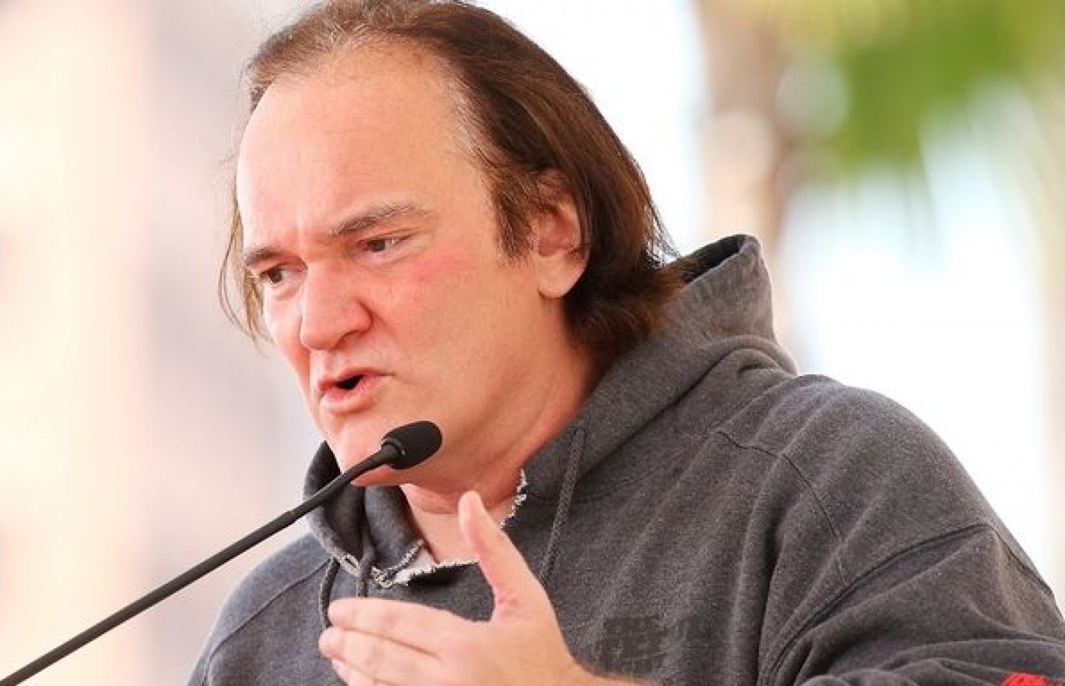 ޑައިރެކްޓަރު ކްއެންޓިން ޓެރަންޓީނޯ.